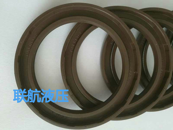 CFW骨架油封BAB3SL 55-72-8-8.5